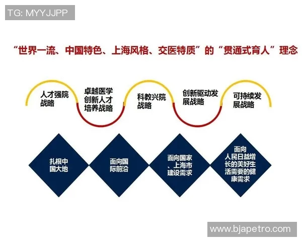 成就驱动下的卓越发展路径与成功实践探索