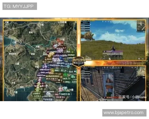 深入探讨和平精英中RNG战队的技术策略与战术分析