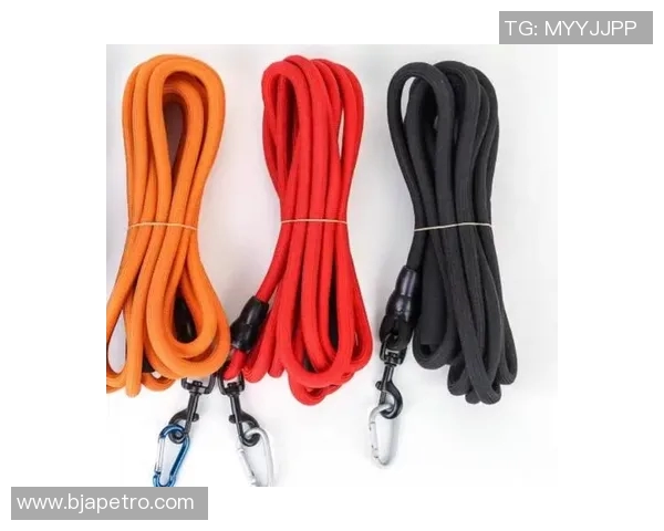 滑板战术探秘:西安滑板队如何构建独特节奏体系与团队协作