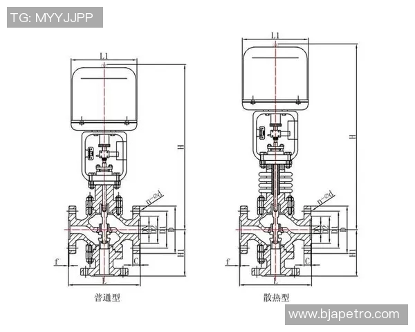 水管阀门的选购与安装指南解析及常见问题解决方案