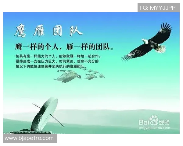 南京排球队个人能力提升之路与团队协作的完美结合